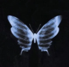 Featured post 2