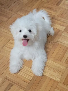 Featured post 1