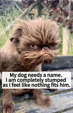 Featured post 1