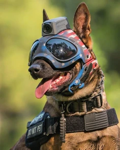 Featured post 2