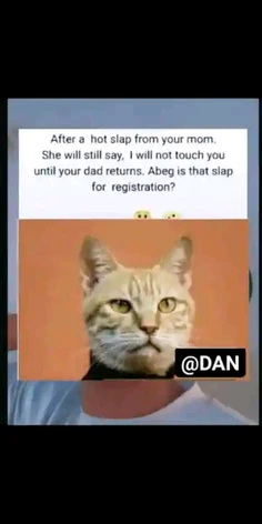 Featured post 6