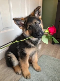 Featured post 5