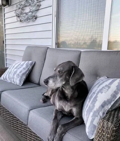Featured post 1