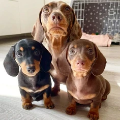 Featured post 1
