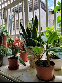 Featured post 1