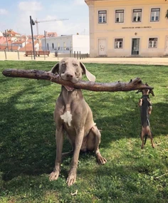 Featured post 1