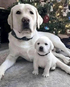 Featured post 3
