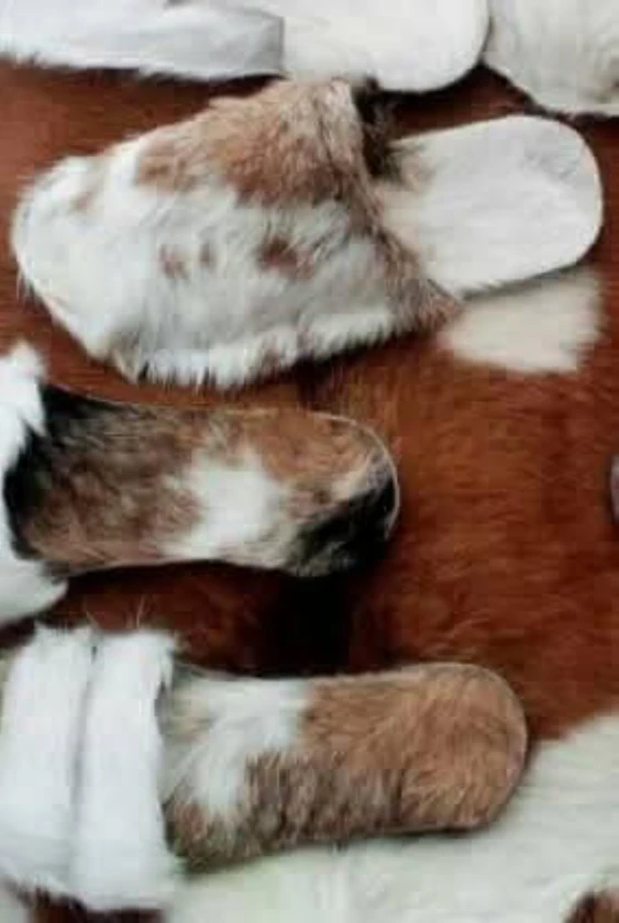 Featured kigalirw content