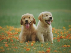 Featured post 2