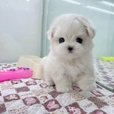 Featured post 2