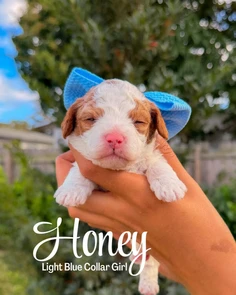 Featured post 2