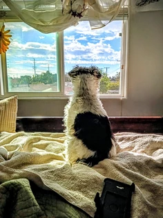 Featured post 1