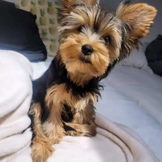 Featured post 1
