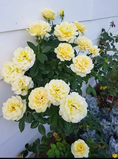 Featured post 1