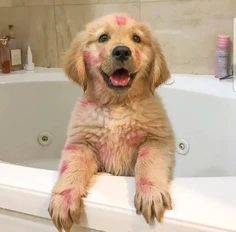 Featured post 2