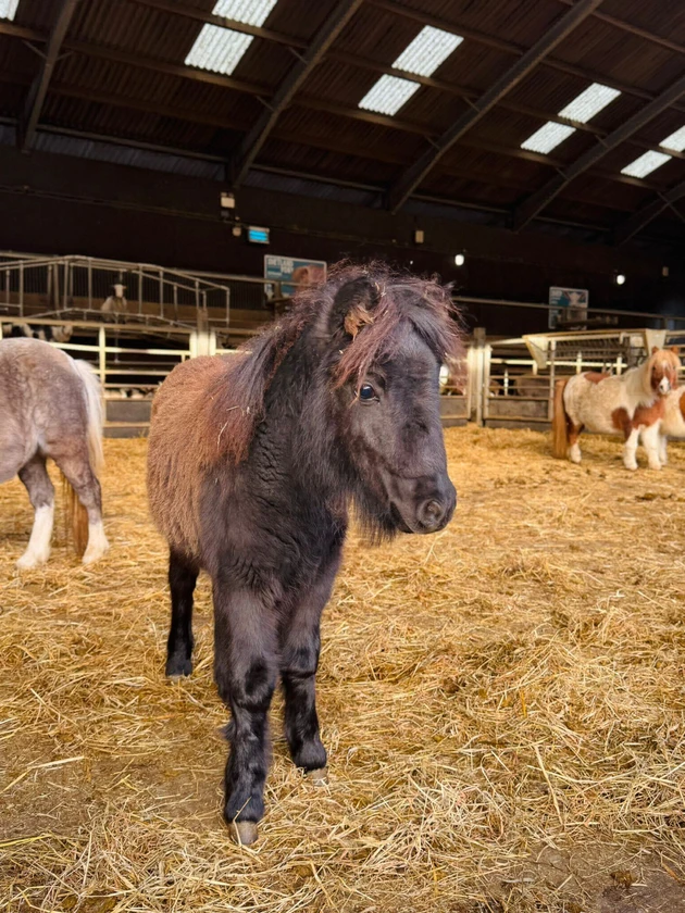 Featured killingbeckgb content