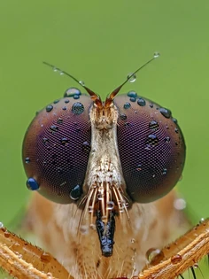 Featured post 7