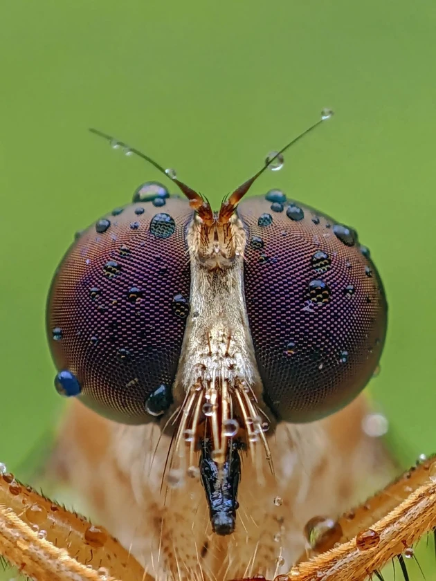 Featured bengkuluid content