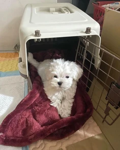 Featured post 1