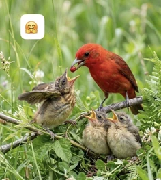 Featured post 1