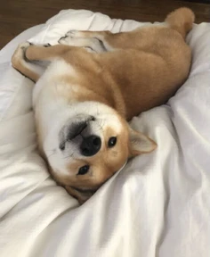 Featured post 1