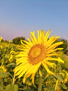Featured post 2
