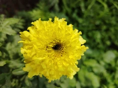 Featured post 1