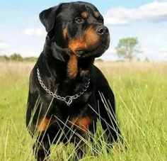 Featured post 4