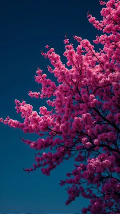 Featured post 2