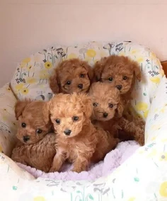 Featured post 2