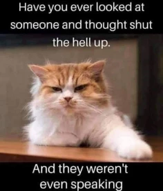 Featured post 1
