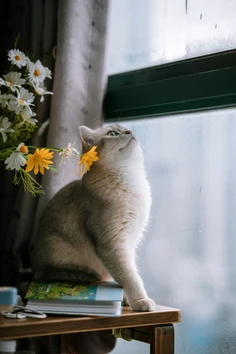 Featured post 1