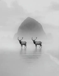 Featured post 1
