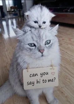 Featured post 1