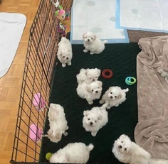 Featured post 1