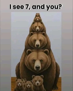 Featured post 1