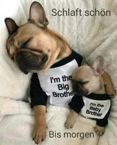 Featured post 1