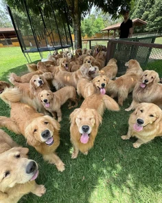 Featured post 4