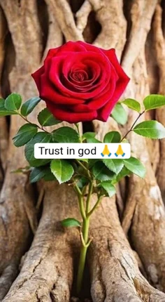 Featured post 2