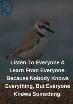 Featured post 2