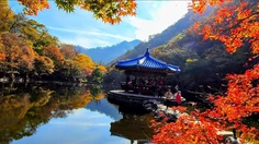 Featured post 8