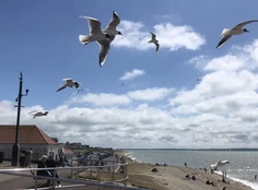 Featured post 1