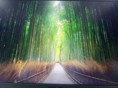 Featured post 1