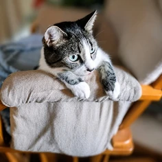 Featured post 2