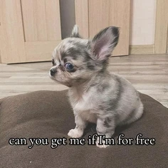 Featured post 2