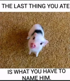 Featured post 3