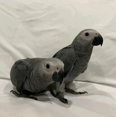 Featured post 1