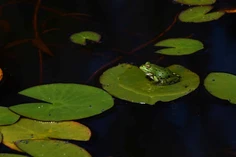 Featured post 4