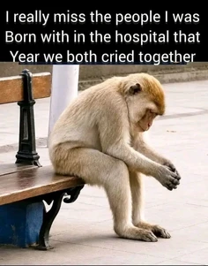 Featured post 2
