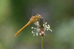 Featured post 6